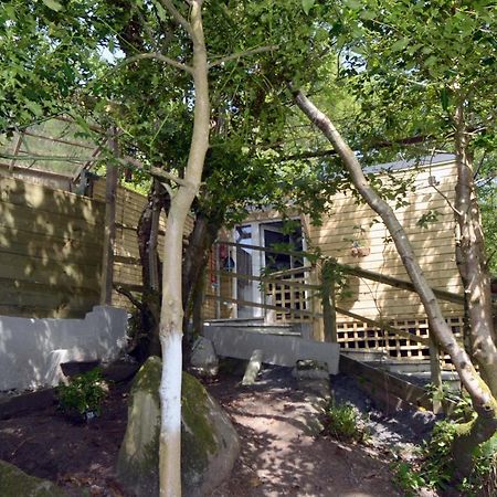 Tawny Lodge ويستبورت المظهر الخارجي الصورة
