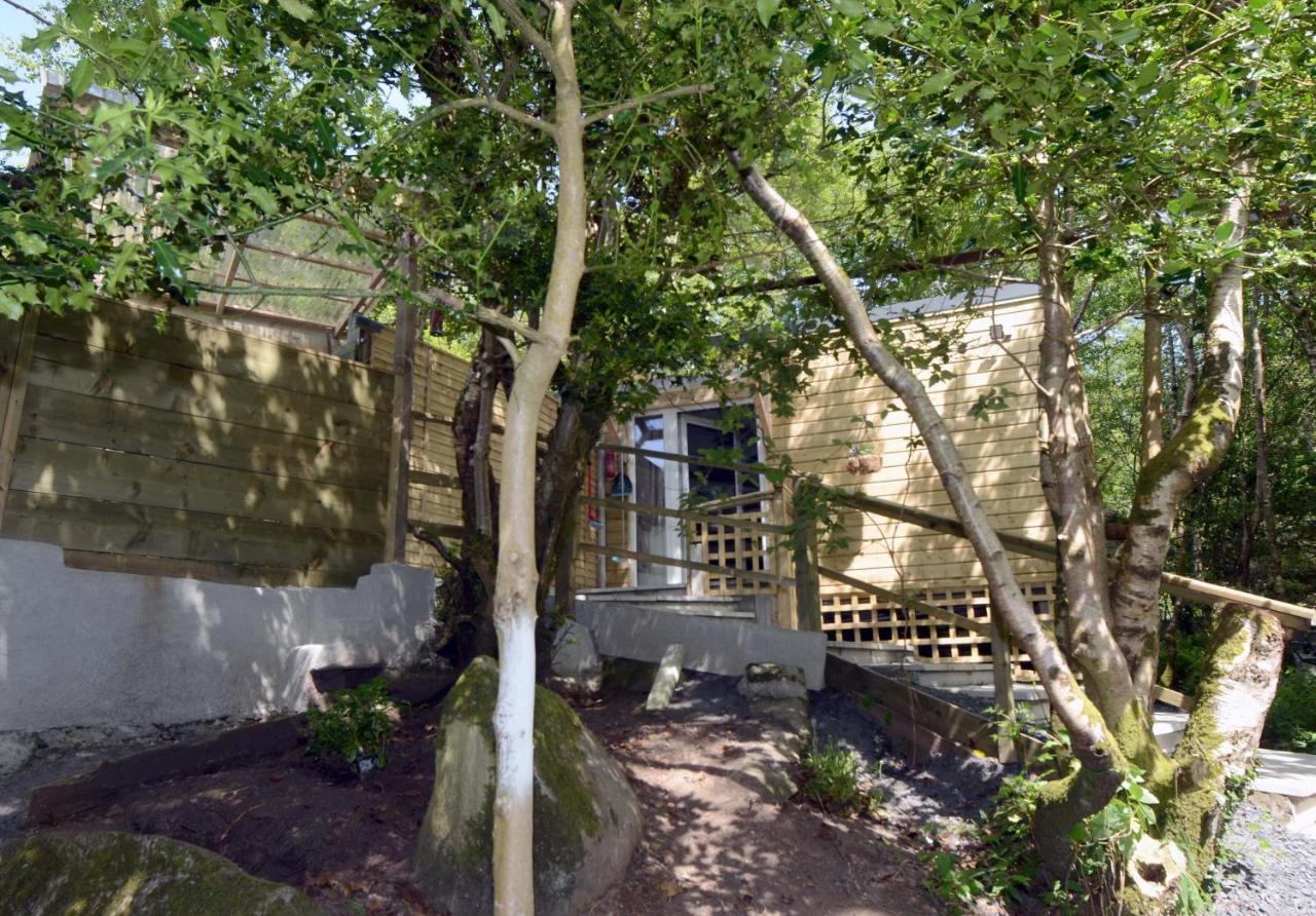 Tawny Lodge ويستبورت المظهر الخارجي الصورة