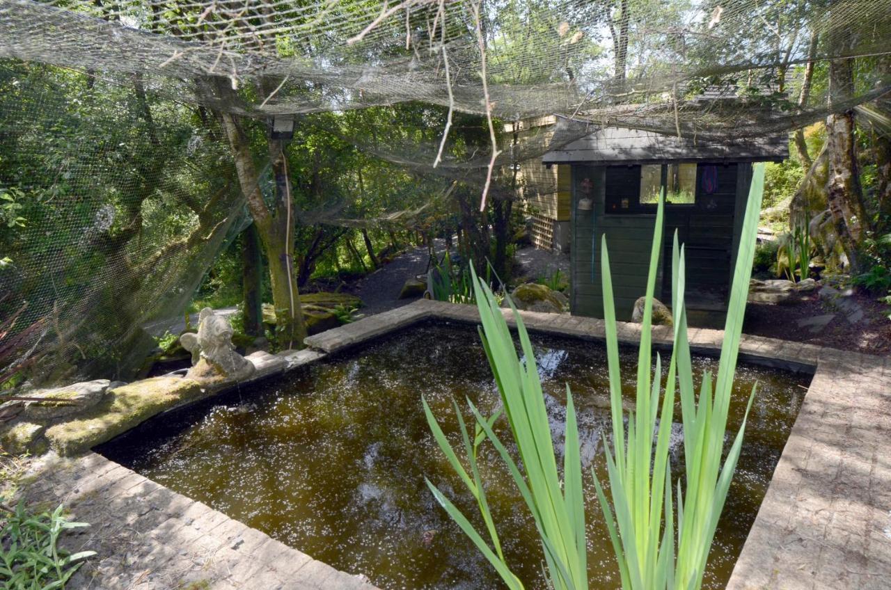 Tawny Lodge ويستبورت المظهر الخارجي الصورة