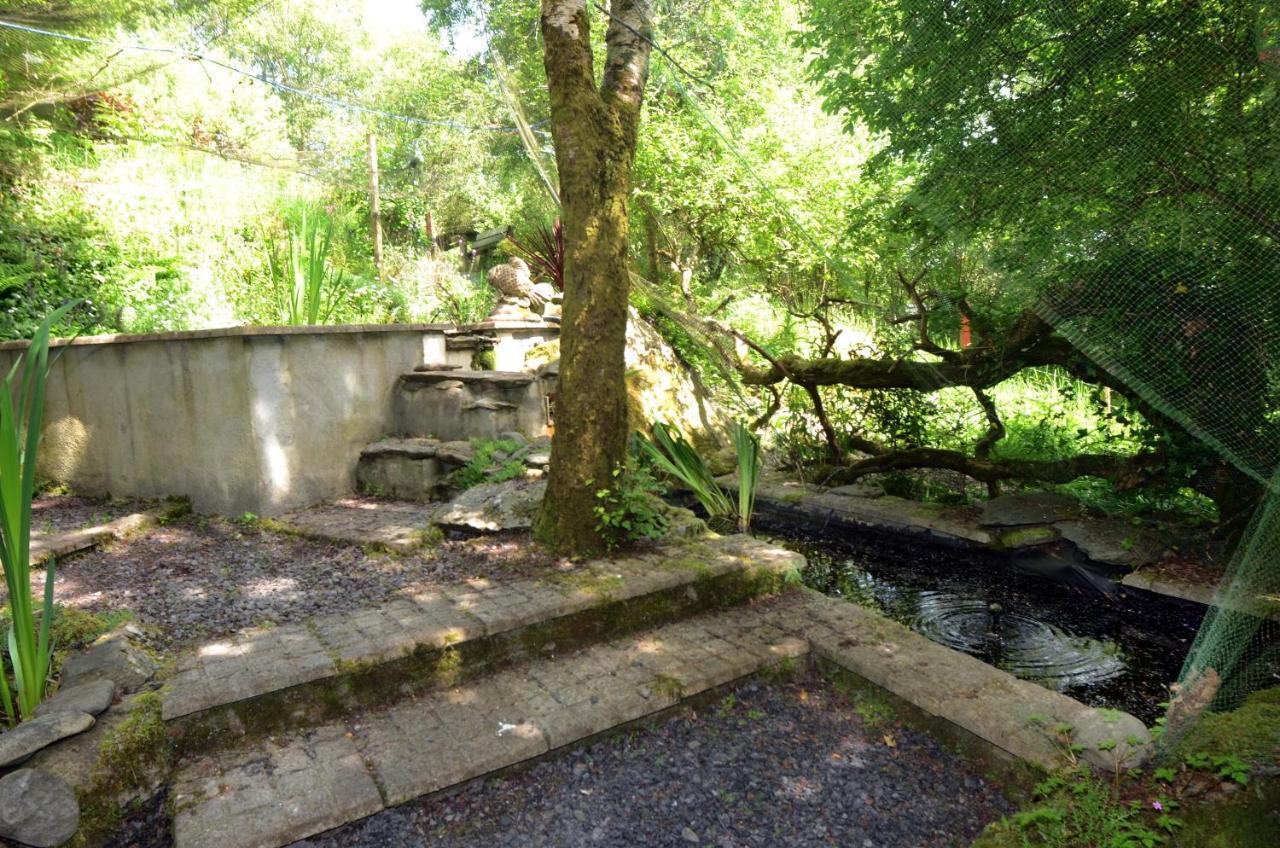 Tawny Lodge ويستبورت المظهر الخارجي الصورة